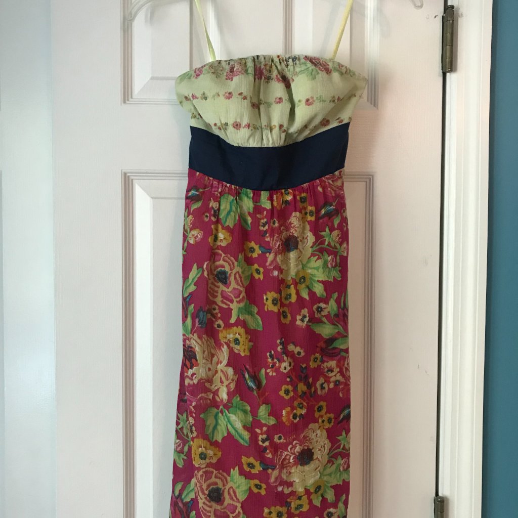 Floral Anthro Dress
